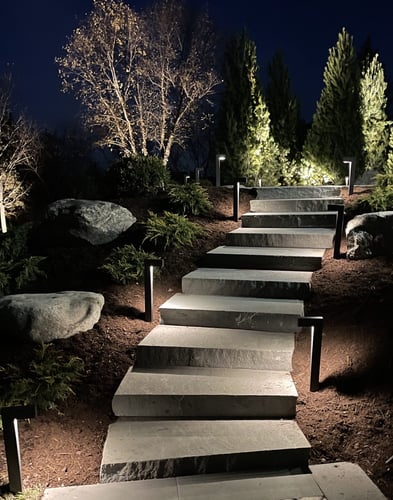 Landscape Path Lighting-1